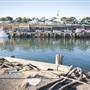 Wollongong Harbour