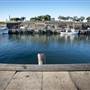 Wollongong Harbour