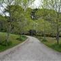 Parklands Country Garden & Lodges