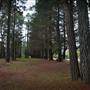 Parklands Country Garden & Lodges