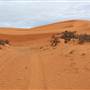 Perry Sandhills