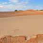 Perry Sandhills