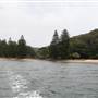 The Basin Campground