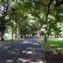 The Domain