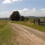 The Oaks