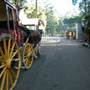Timbertown