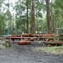 Timbertown