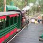 Timbertown