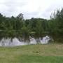 Yarramundi Reserve, Agnes Banks