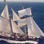 Young Endeavour