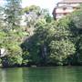 Various Sydney Harbour views from water