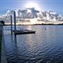 Taree