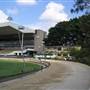 Wentworth Park Dog Track