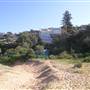 Whale Beach