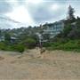 Whale Beach Mansions