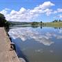 Wingham