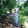 Wingham