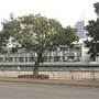 Woolloomooloo