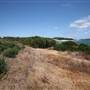 Yarra Bay Beach, Yarra Point & Bicentennial Park