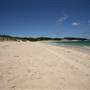 Yarra Bay Beach, Yarra Point & Bicentennial Park