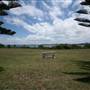 Yarra Bay Beach, Yarra Point & Bicentennial Park