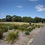 Yarra Bay Beach, Yarra Point & Bicentennial Park
