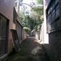 Surry Hills - Sophia Lane