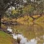 Walgett Area