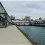Walsh Bay - Piers/Wharves Pier 2/3