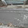 Surry Hills - Sophia Street
