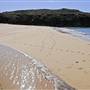 Wattamolla Beach