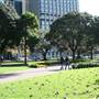 Hyde Park and Archibald Fountain - Sydney CBD