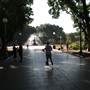 Hyde Park and Archibald Fountain - Sydney CBD