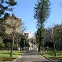 Hyde Park and Archibald Fountain - Sydney CBD