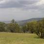 Road from Coolah Tops to Coolah