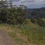 Road from Coolah Tops to Coolah