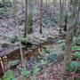 Red Cedar Flat picnic area