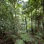 Scenic World