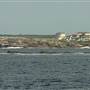 Wedding Cake Island - Coogee Beach