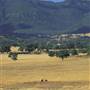 Warrumbungle National Park