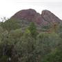 Warrumbungle National Park