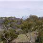 Warrumbungle National Park