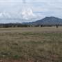 Warrumbungle National Park