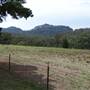 Warrumbungle National Park