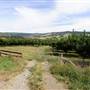 Watkins Orchard (Mandarin & Cumquat)