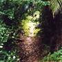 Way Way State Forest