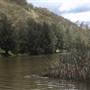 Wollondilly River Station