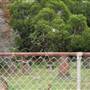 St Stephens Anglican Church