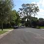 Lindfield