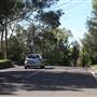 Lindfield
